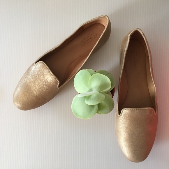 {Coach} Catrin Tonal Brsh Off Met Flats - Picture 1 of 8